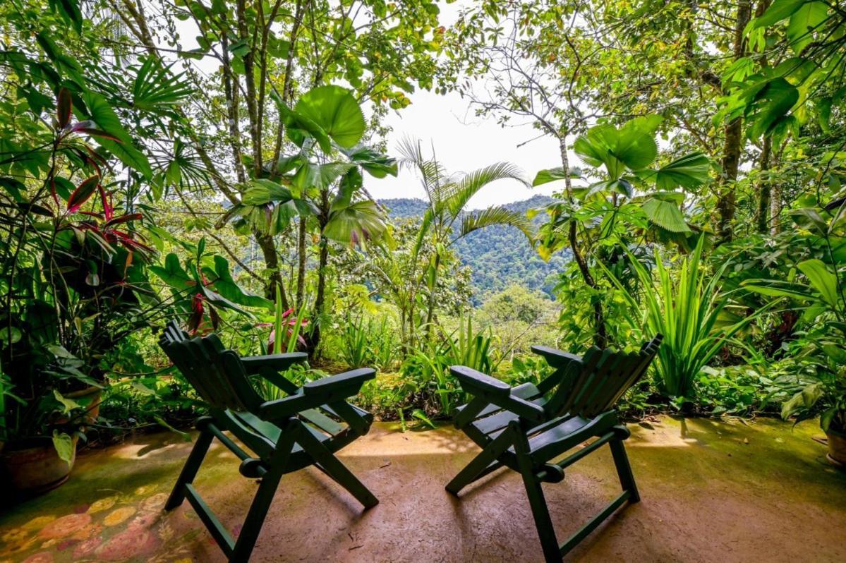 Lands In Love Hotel And Resort Colonia Palmarena Экстерьер фото