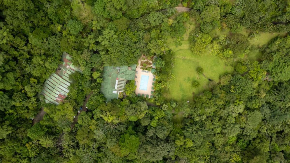 Lands In Love Hotel And Resort Colonia Palmarena Экстерьер фото